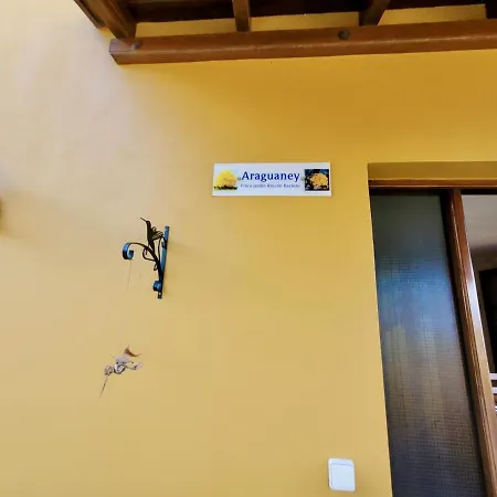 Bollullo Sunset - Araguaney * La Orotava