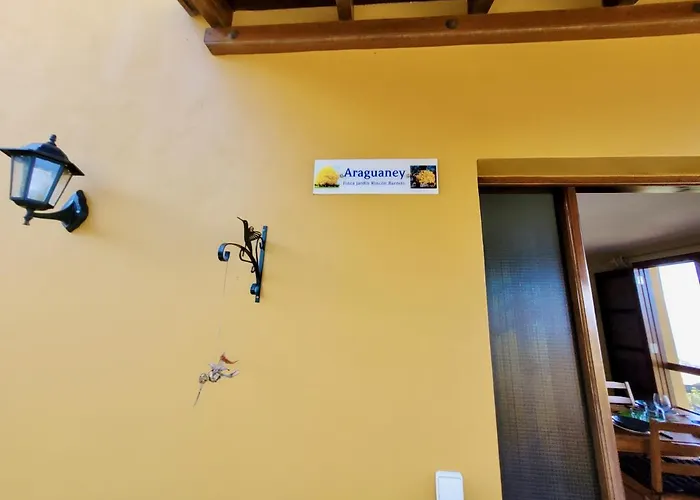 Bollullo Sunset - Araguaney * La Orotava